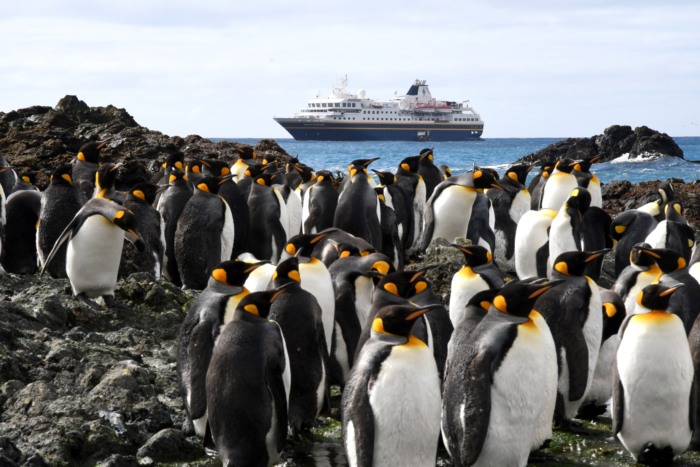 Penguins of Antarctica and MS Heritage Adventurer -NUNAA Expeditions